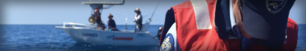 case-study-banner-queensland-fisheries-1060-180